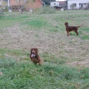 Návšteva u Jessy