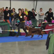 NVP Brno 4.1.2014