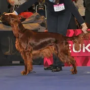 22.2.2014 Duo Cacib Brno