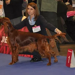 22.2.2014 Duo Cacib Brno