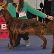 22.2.2014 Duo Cacib Brno