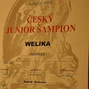23.2.2014 nedeľa DUO CACIB BRNO