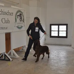 Výstava v Salzburgu 6.4.2014