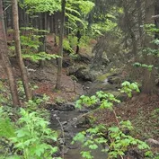 Návšteva v Říčanoch