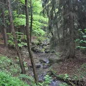 Návšteva v Říčanoch