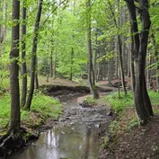 Návšteva v Říčanoch