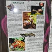 Návšteva v Říčanoch