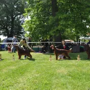 Výstava v Slávkove 10.5.2014