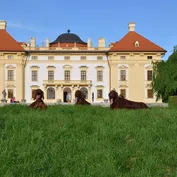 Výstava v Slávkove 10.5.2014