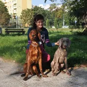 Ranná prechádzka v parku