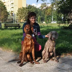 Ranná prechádzka v parku