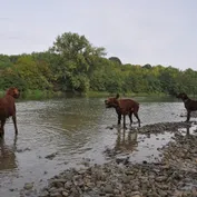 V Seredi pri Váhu