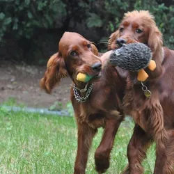 Zábava a oddych