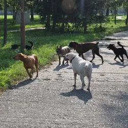 Slnečné ráno v parku