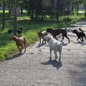 Slnečné ráno v parku