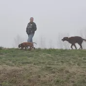 Jesenná prechádzka
