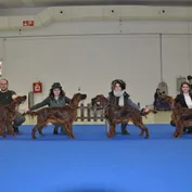 Začiatok výstavnej sezóny