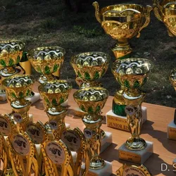 Špeciálna klubová výstava Trnava