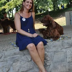 Špeciálna klubová výstava Trnava