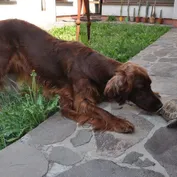 Máme nového člena rodiny