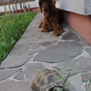 Máme nového člena rodiny