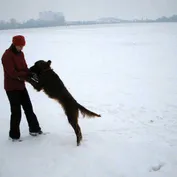 Zima