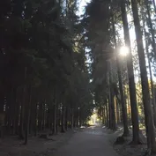 Návšteva u Jesinky v Říčanech u Prahy