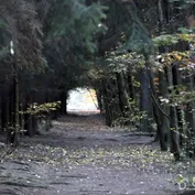 Návšteva u Jesinky v Říčanech u Prahy