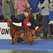 NVP Brno 2016