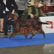 NVP Brno 2016