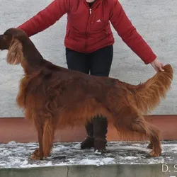 Pózovanie