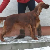 Pózovanie