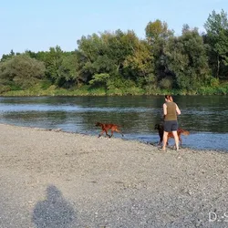Pri Váhu