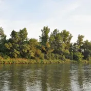 Pri Váhu