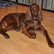 CASSIUS