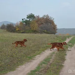 Výlet na Majdán