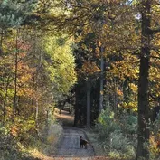 Návšteva u Jesinky