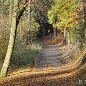 Návšteva u Jesinky