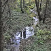 Návšteva u Jesinky
