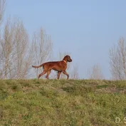 Výlet do Kalinkova k Dunaju