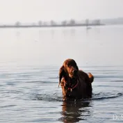 Výlet do Kalinkova k Dunaju