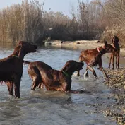 Výlet do Kalinkova k Dunaju