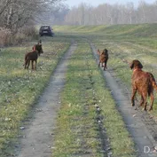 Výlet do Kalinkova k Dunaju
