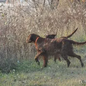 Výlet do Kalinkova k Dunaju