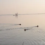 Výlet do Kalinkova k Dunaju