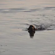 Výlet do Kalinkova k Dunaju