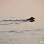 Výlet do Kalinkova k Dunaju
