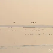 Výlet do Kalinkova k Dunaju