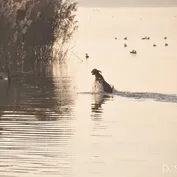 Výlet do Kalinkova k Dunaju