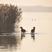 Výlet do Kalinkova k Dunaju